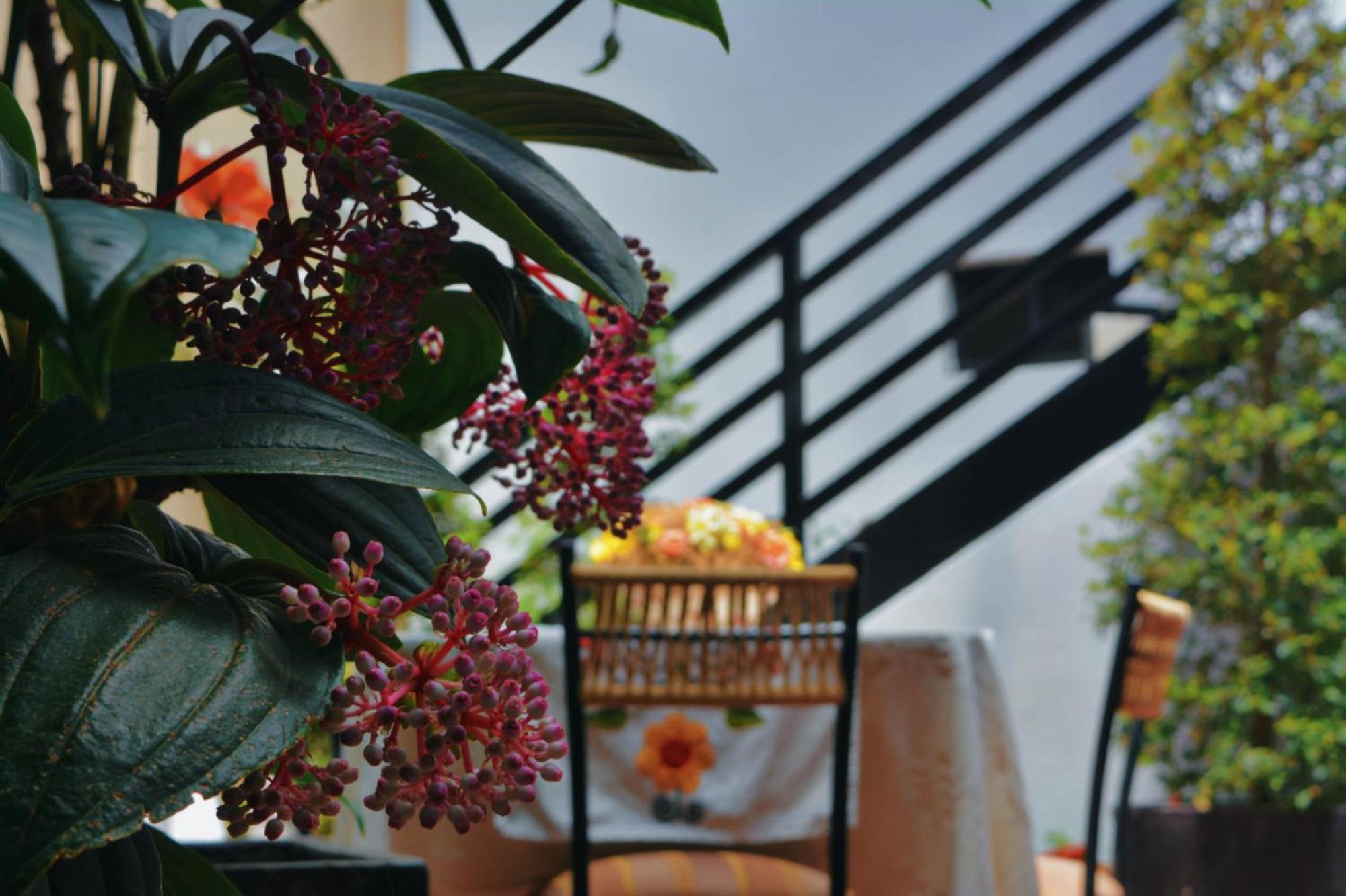 Hotel La Farola Cuenca Zewnętrze zdjęcie